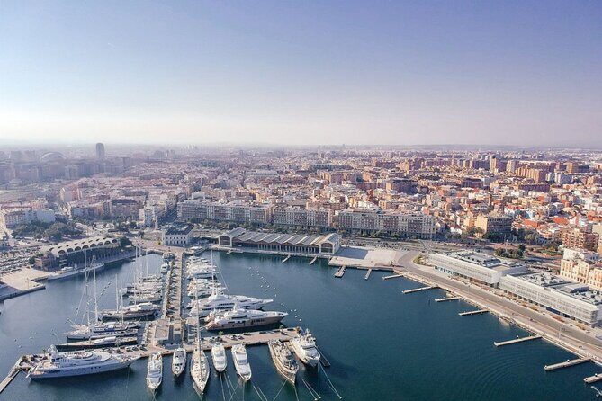 Half day private tour to Elche and Santa Pola - Exploring the Palm Grove and Archaeological Marvels