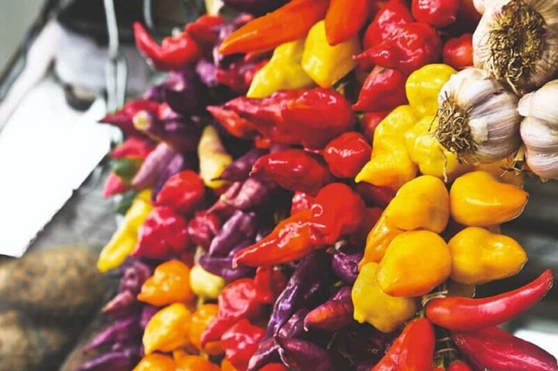 Half-Day Private Tour to Local Market, Chinatown,Cordano Bar - Who Will Love This Tour?