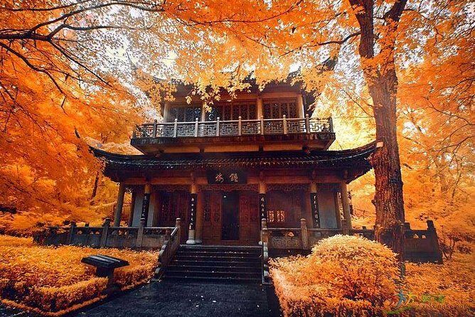 Half-Day Private Tour to Qixia Temple and Swallow Rock in Nanjing - Key Points