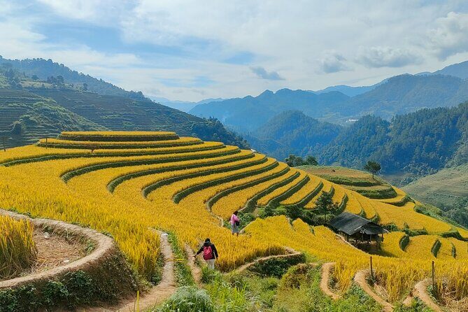 Half Day Private Trekking Mu Cang Chai_Morning or Afternoon - A Deep Dive into the Mu Cang Chai Trek Experience