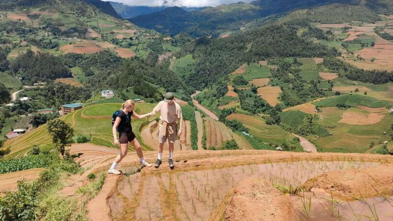 Half Day Private Trekking Mu Cang Chai_Morning or Afternoon - Key Points