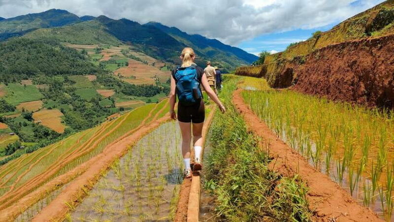 Half Day Private Trekking Mu Cang Chai_Morning or Afternoon - Detailed Breakdown of the Itinerary
