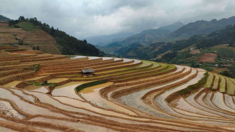 Half Day Private Trekking Mu Cang Chai_Morning or Afternoon - Authentic Experiences and Genuine Value