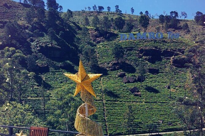 Half-Day Private Trip to Waterfalls and Tea Factory - An In-Depth Look at the Waterfalls and Tea Factory Tour