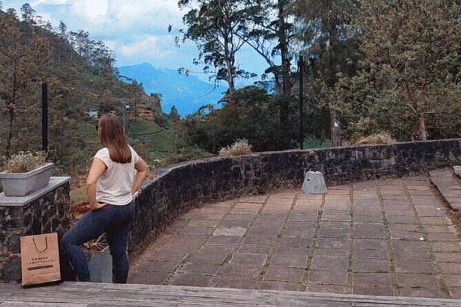 Half-Day Private Trip to Waterfalls and Tea Factory - Final Thoughts