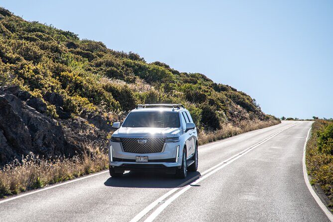 Half Day Private VIP Road to Hana Tour - A Deep Dive into the Experience