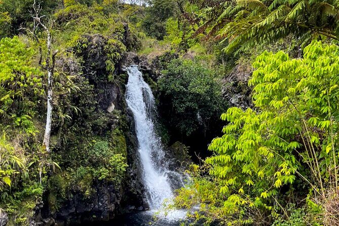 Half Day Private VIP Road to Hana Tour - Frequently Asked Questions