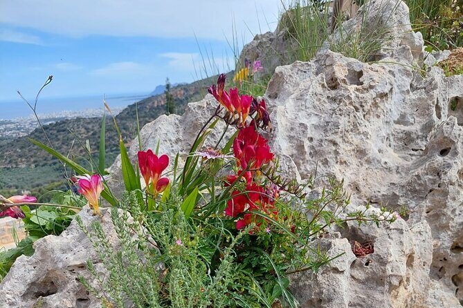 Half-Day Private Walking Tour along the Orthodox Gorge - Key Points