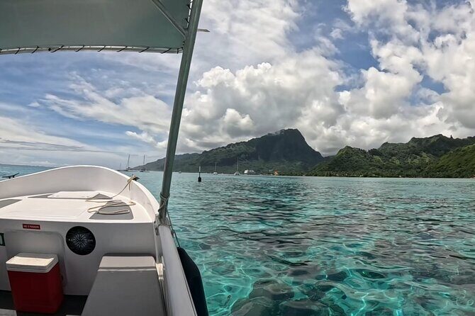 Half Day Private Whale Watching in Moorea - Final Thoughts: Is It Worth It?