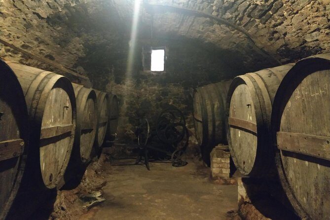 Half Day Private Wine & Oil Tasting Tour near Barcelona with hotel pick up - In-Depth Review of the Experience