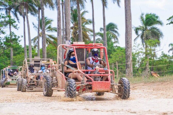 Half Day Punta Cana Buggy Tour with Macao Beach and Cenote - Key Points