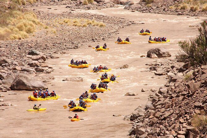 Half Day Rafting or Canopy Adventure Excursion in Mendoza - Final Thoughts: Is This Tour Right for You?