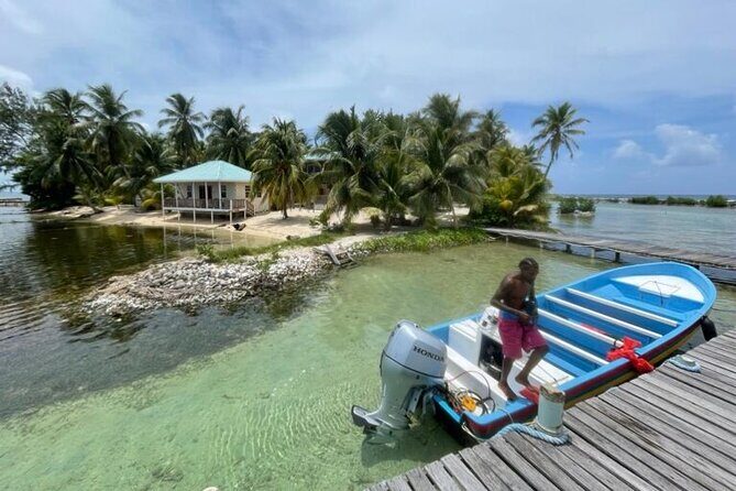 Half Day Reef Snorkel and Wildlife Tour - The Value of This Tour