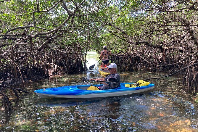 Half Day Rental to John's Pass Sandbar & Mangrove Tunnel - Experience the Water at Your Own Pace: Half Day Rental to John’s Pass Sandbar & Mangrove Tunnel