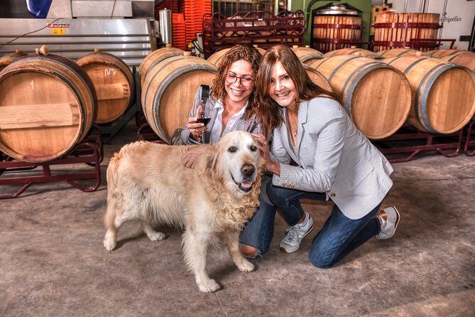 Half Day Rioja Wine Tour - Key Points