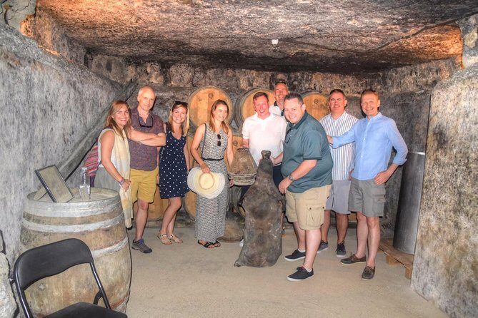 Half Day Rioja Wine Tour - Final Thoughts: Who Is This Tour Best For?