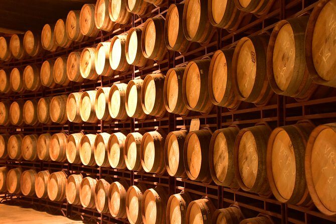 Half Day Rioja Wine Tour - Final Words