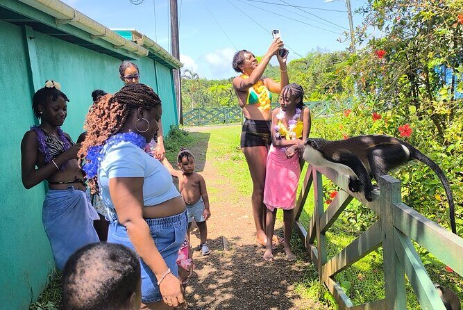 Half-day River Tubing, Rainforest, chocolate Rum in Grenada. - Why This Tour Might Be Perfect for You