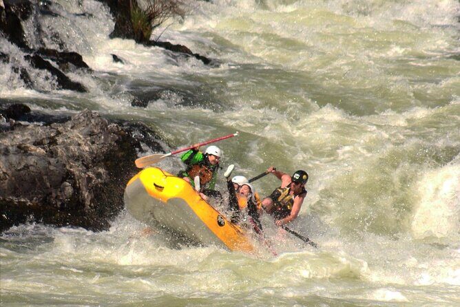 Half Day Rogue River White Water (Class I- IV) - The Full Experience: What You Can Expect