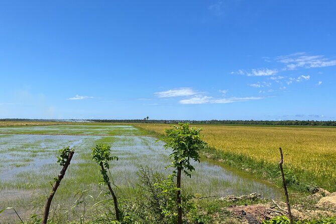 Half Day Safari and ATV or horses from Punta Cana - FAQs