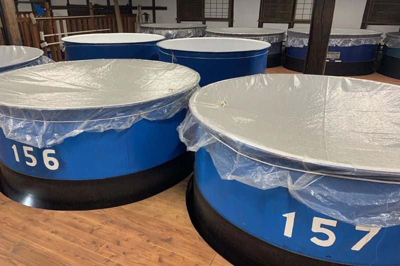 Half-Day Saijo Sake Tasting & Inside Brewery Tour in Hiroshima - Should you book the Saijo sake tour?