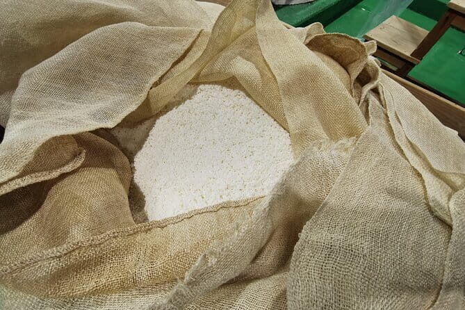 Half-Day Saijo Tour Sake Tasting and Brewery Tour in Hiroshima - The Itinerary: Step-by-Step