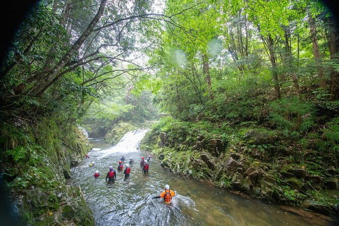 Half-Day Saijo Tour Sake Tasting and Brewery Tour in Hiroshima - What Makes This Tour Stand Out