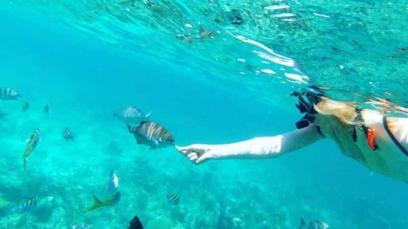 Half day Sail and Snorkeling - FAQ: Your Practical Questions Answered