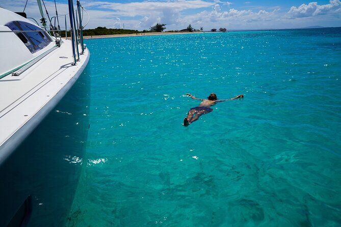 Half Day Sail to Lime Out St. Thomas with Gourmet Tacos - Key Points