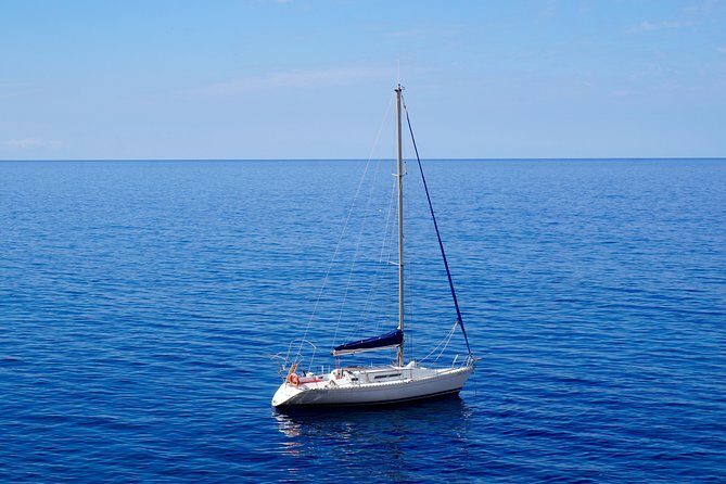 Half Day Sailing Excursion along the Coast - Setting the Scene: What to Expect from the Tour