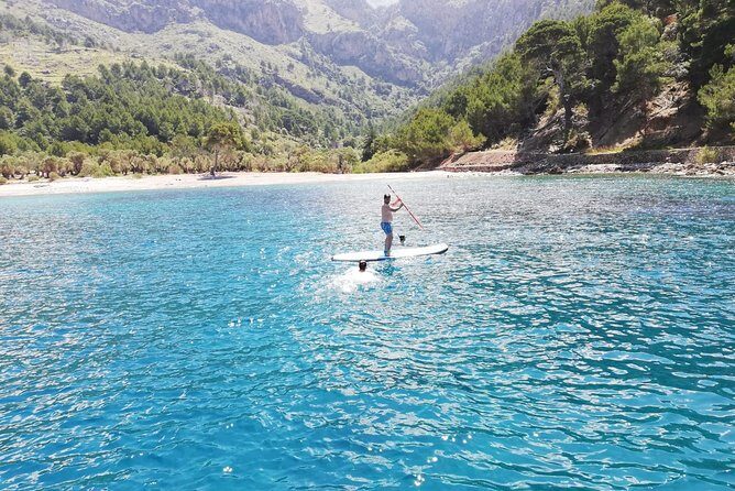 Half Day Sailing Excursion along the Coast - Pricing and Value: Is It Worth It?