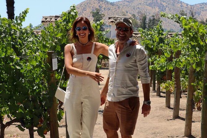 Half day Santa Rita and Undurraga Winery Tasting Tour in Santiago - FAQ about the Santa Rita and Undurraga Winery Tour