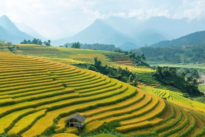 Half Day Sapa Cat Cat Explore Waterfall, Workshop, H'mong Local - FAQ