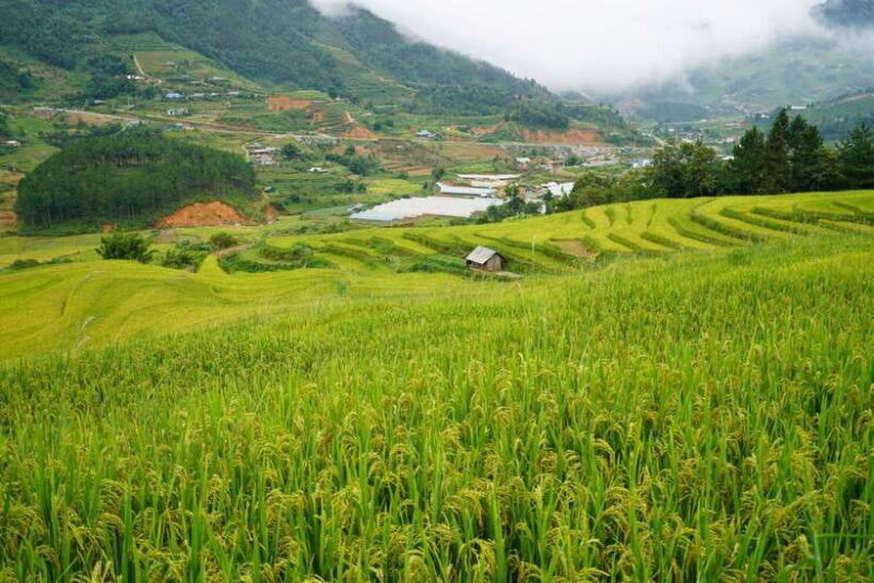 Half Day Sapa Trekking to Visit Lao Chai - Ta Van - Trekking to Ta Van & Cultural Encounters
