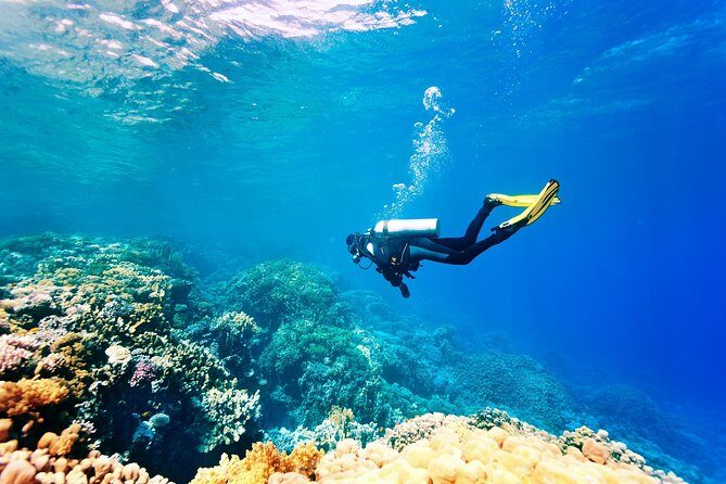 Half-day Scuba Diving Experience in Oludeniz - Final Thoughts