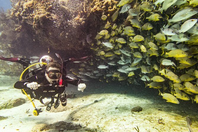 Half-Day Scuba Diving in Playa del Carmen for Small-Group - Reviews and Authentic Experiences