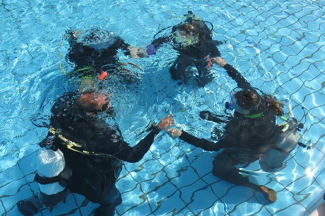 Half-Day Scuba Diving Tour - Discover Scuba Diving! - FAQ: Your Questions Answered