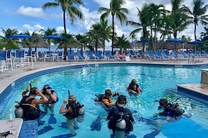 Half Day Scuba Diving Trip in the Florida Keys - FAQ