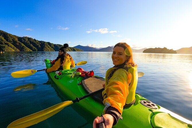 Half day Sea Kayak Guided Tour from Picton - Who Should Consider This Tour?