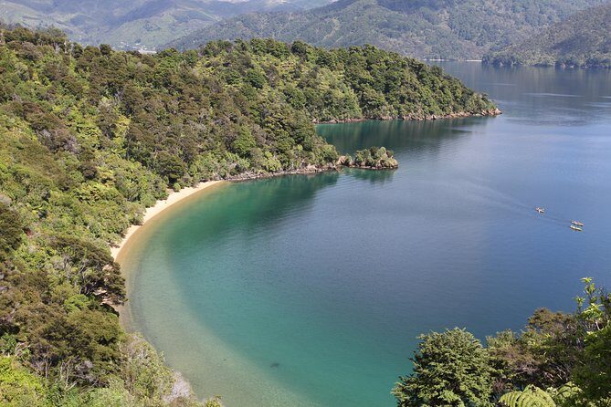 Half day Sea Kayak Guided Tour from Picton - Final Thoughts: Is It Worth It?