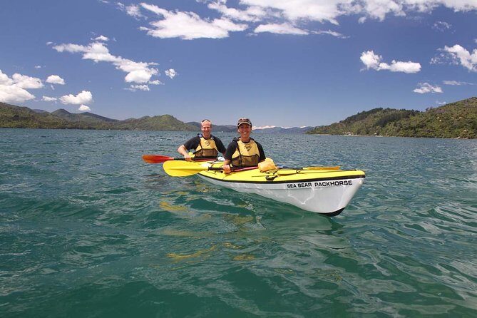 Half day Sea Kayak Guided Tour from Picton - Frequently Asked Questions