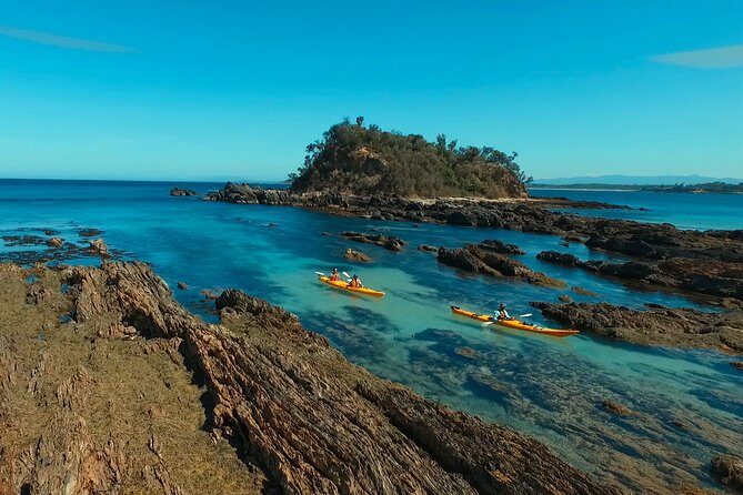 Half Day Sea Kayak Tour from Batemans Bay with Morning Tea and Snorkeling - An In-Depth Look at the Experience