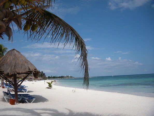 Half-Day Sea Turtle and Cenote Snorkeling Tour from Cancun & Riviera Maya - Key Points