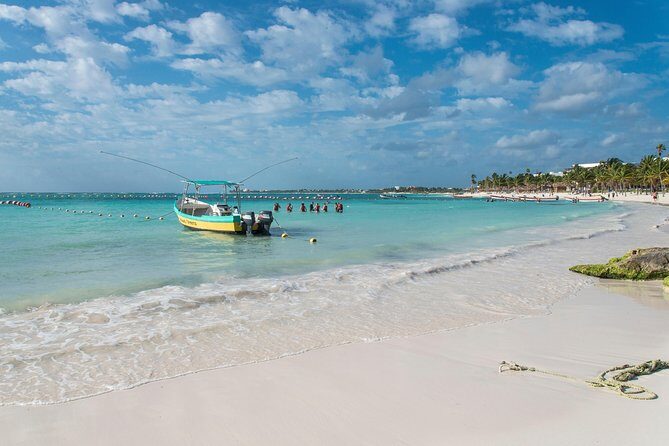 Half-Day Sea Turtle and Cenote Snorkeling Tour from Cancun & Riviera Maya - A Deep Dive into the Experience