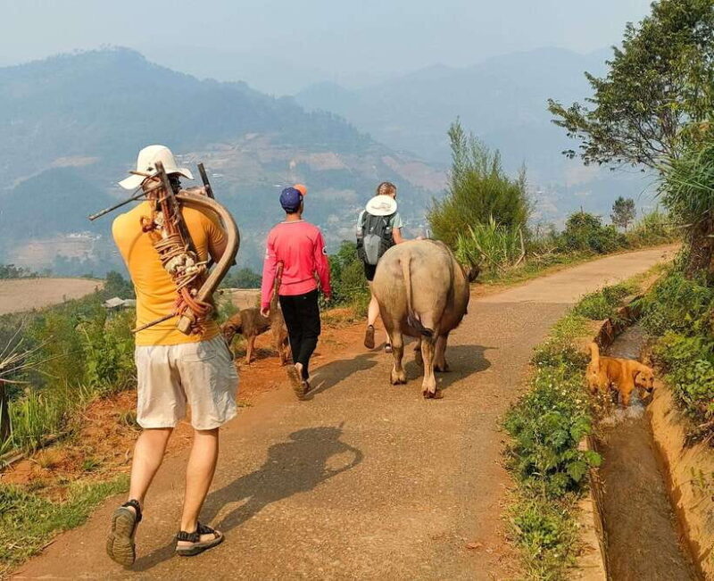 Half day Seasonal Job Experience private tour Mu Cang Chai - A Detailed Look at the Mu Cang Chai Seasonal Job Experience