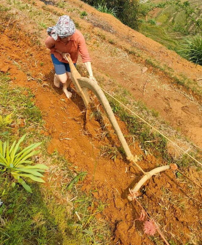 Half day Seasonal Job Experience private tour Mu Cang Chai - FAQs