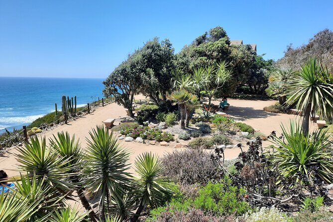 Half Day Self Guided Electric Bike Tour of North San Diego Coast - The Experience in Detail: What You Can Expect