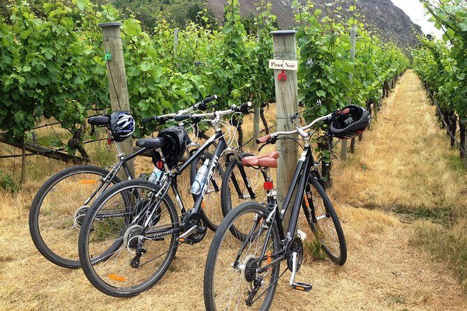Half-Day Self-Guided Ride and Wine Bike Tour from Arrowtown - A Ride and Taste of New Zealand: Self-Guided Bike & Wine Tour from Arrowtown