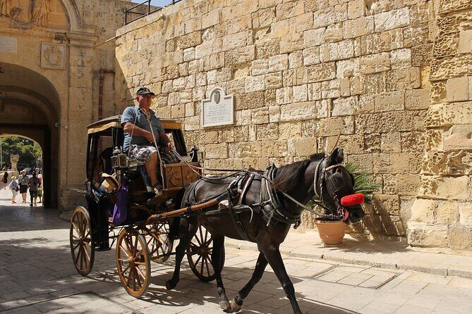Half Day Shared Tour in Malta - A Deep Dive into the Malta Experience