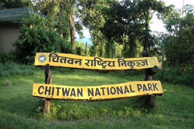 Half Day Sharing Jeep Safari in Chitwan National Park - The Experience at a Glance